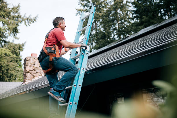 Best Chimney Flashing Repair  in Spruce Pine, NC